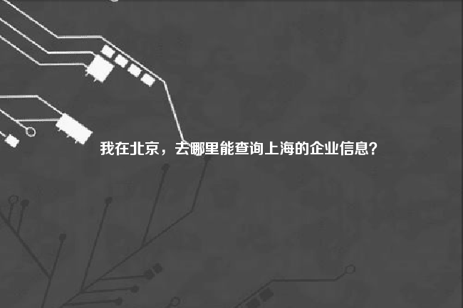 我在北京，去哪里能查询上海的企业信息？